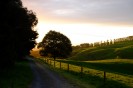 NZ: Sonnenuntergang bei Okauia 024