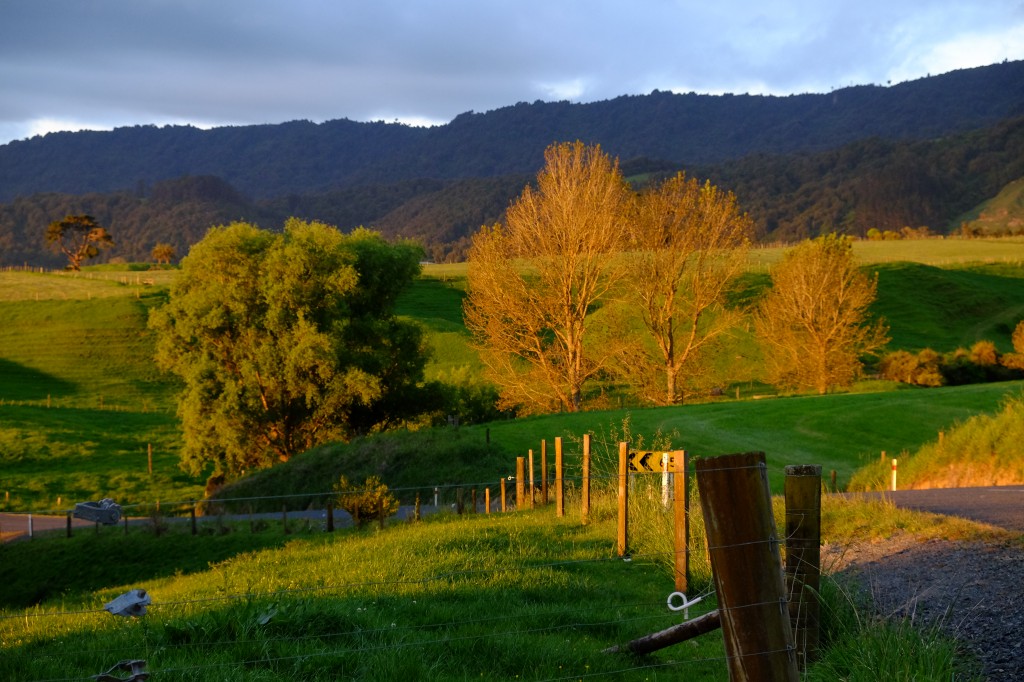 NZ: Sonnenuntergang bei Okauia 026