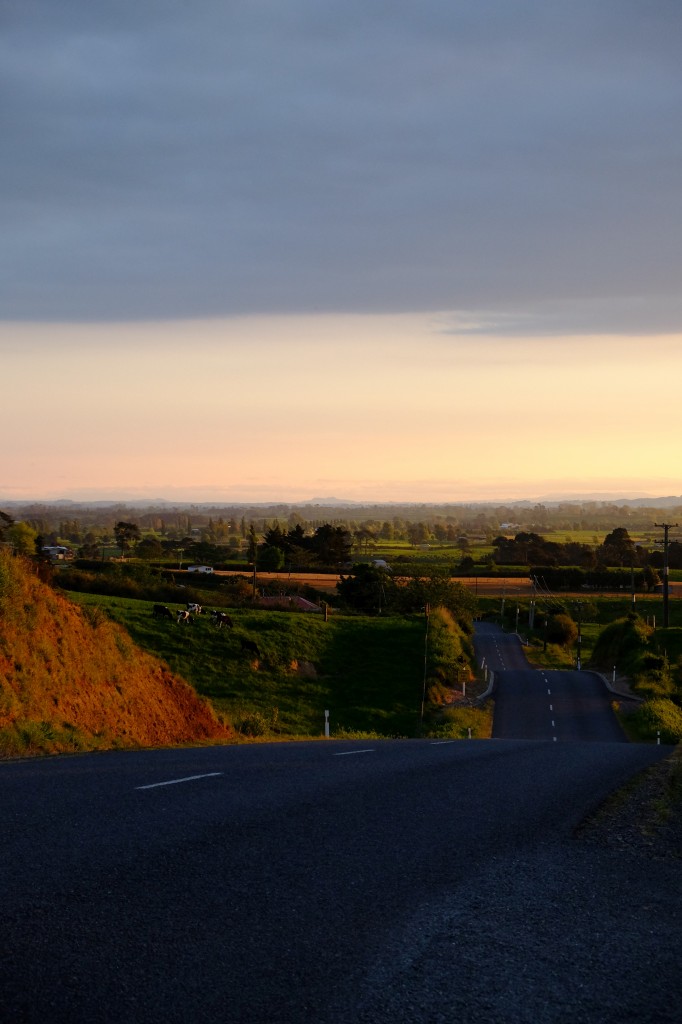 NZ: Sonnenuntergang bei Okauia 027