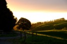 NZ: Sonnenuntergang bei Okauia 034