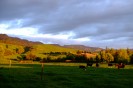 NZ: Sonnenuntergang bei Okauia 036