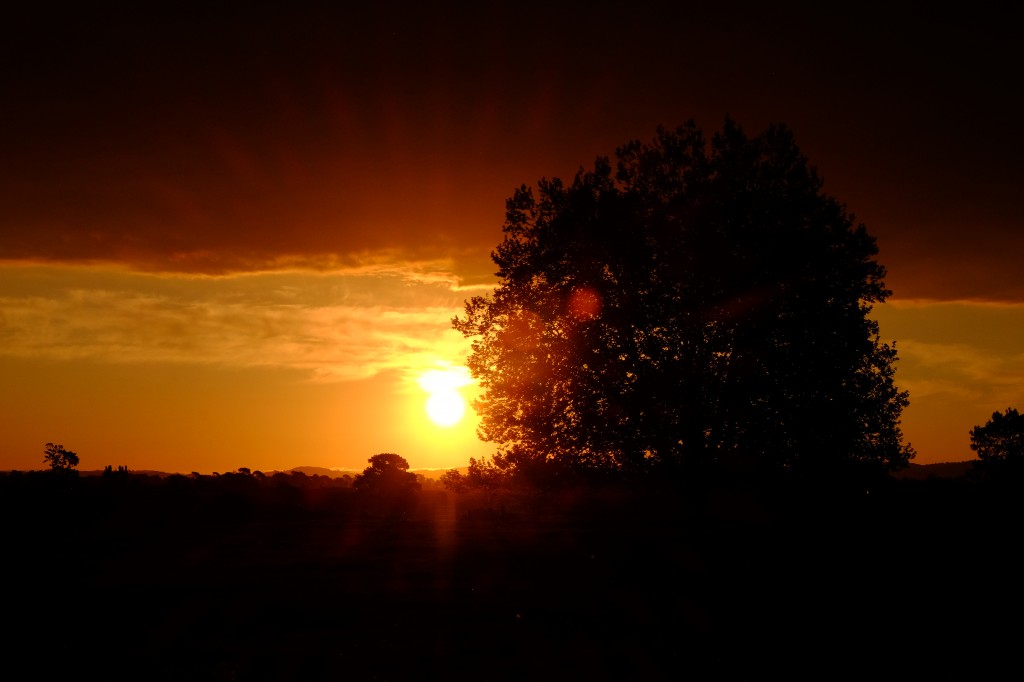 NZ: Sonnenuntergang bei Okauia 040