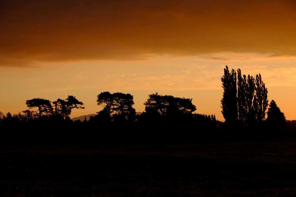 NZ: Sonnenuntergang bei Okauia 041