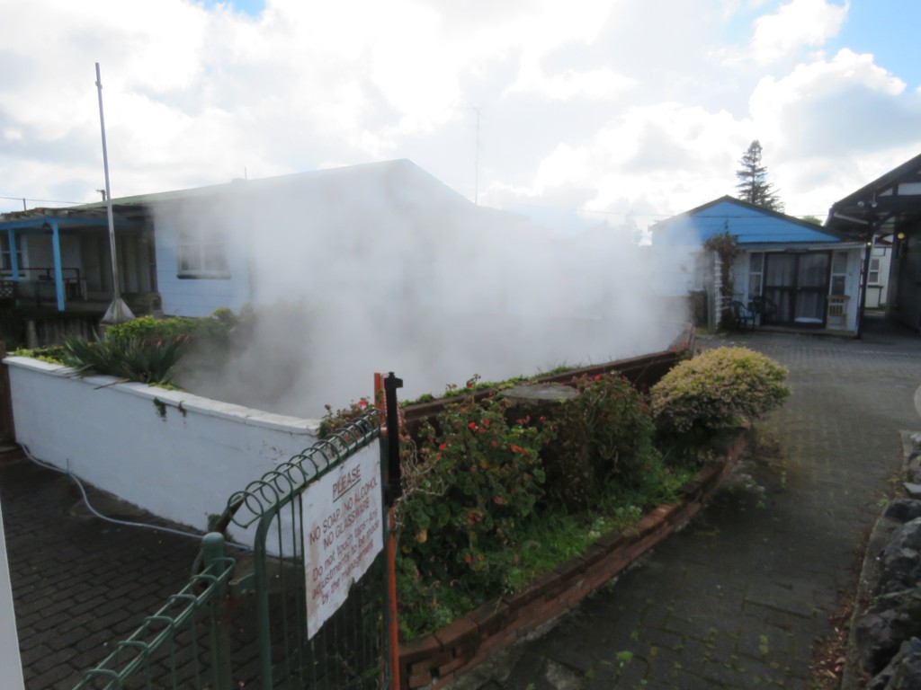 NZ: Utuhina Hot Springs Fishing Lodge 3