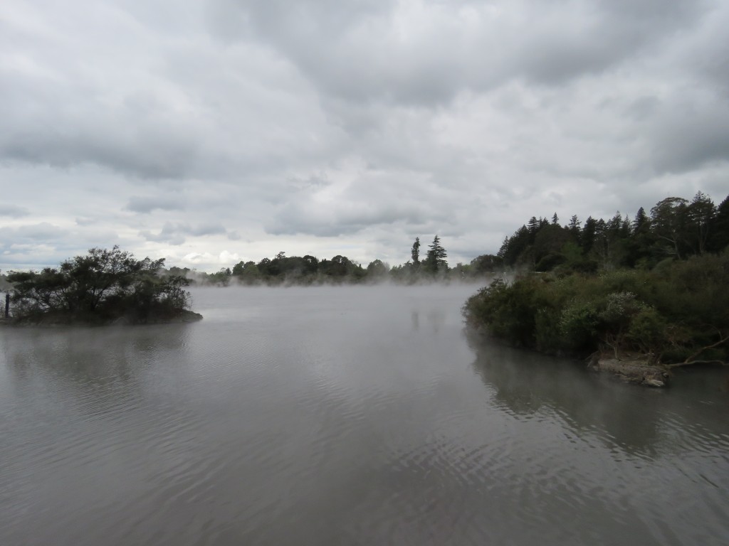 NZ: Whakarewarewa - Dampfende Seen