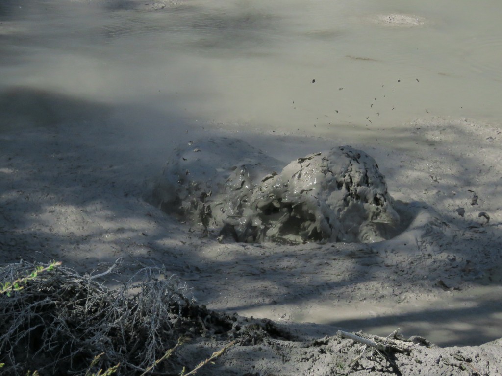 NZ: Wai-o-Tapu - Mud Pool