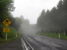 NZ: State Highway 4, Nebel