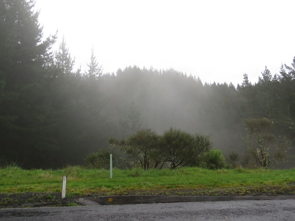 NZ: State Highway 4, Nebel 2