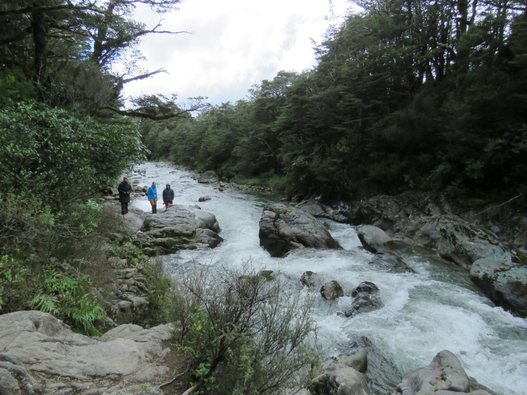 NZ: Tawhai Falls 3