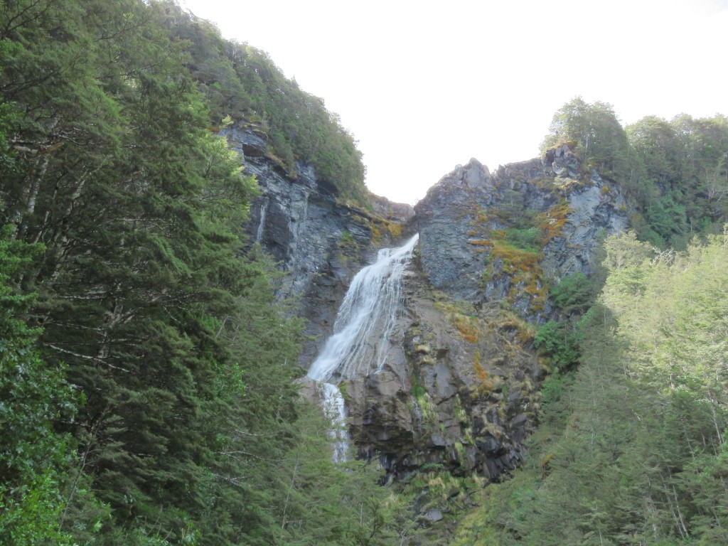 NZ: Waitonga Falls 8