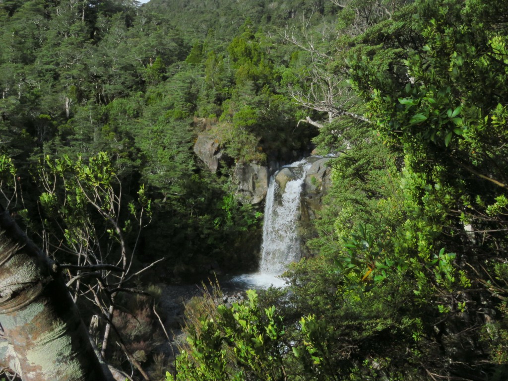 NZ: Waitonga Falls - Weiterer Wasserfall