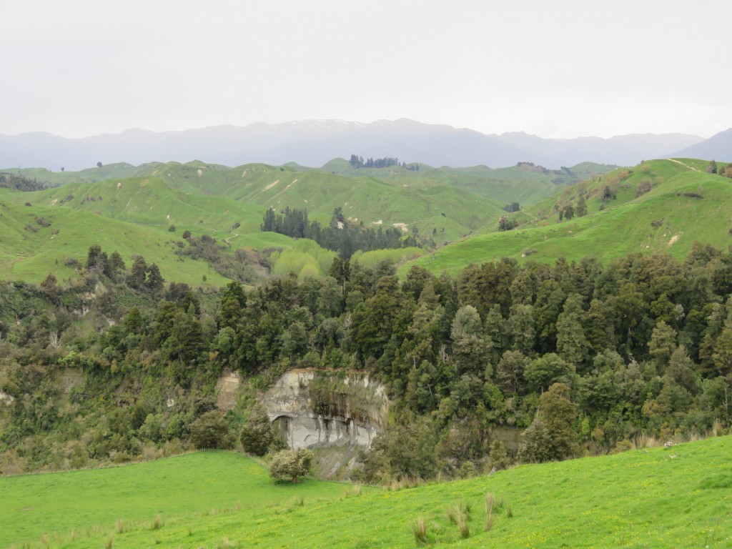 NZ: Manawatu Scenec Route 4