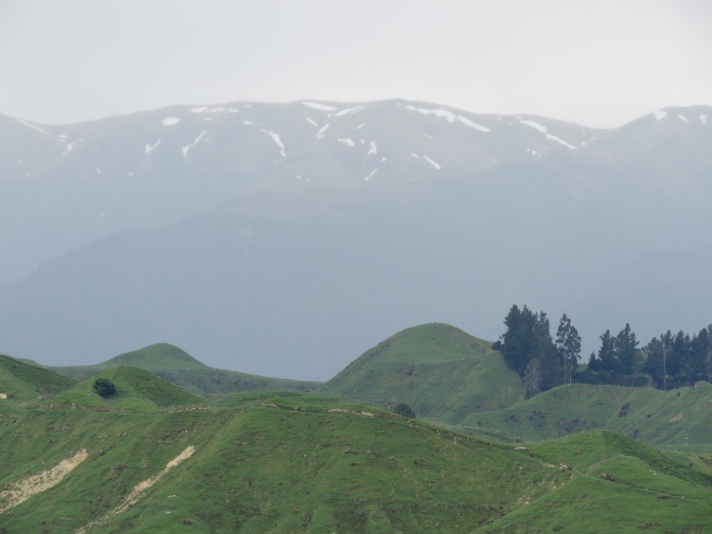 NZ: Manawatu Scenec Route 5