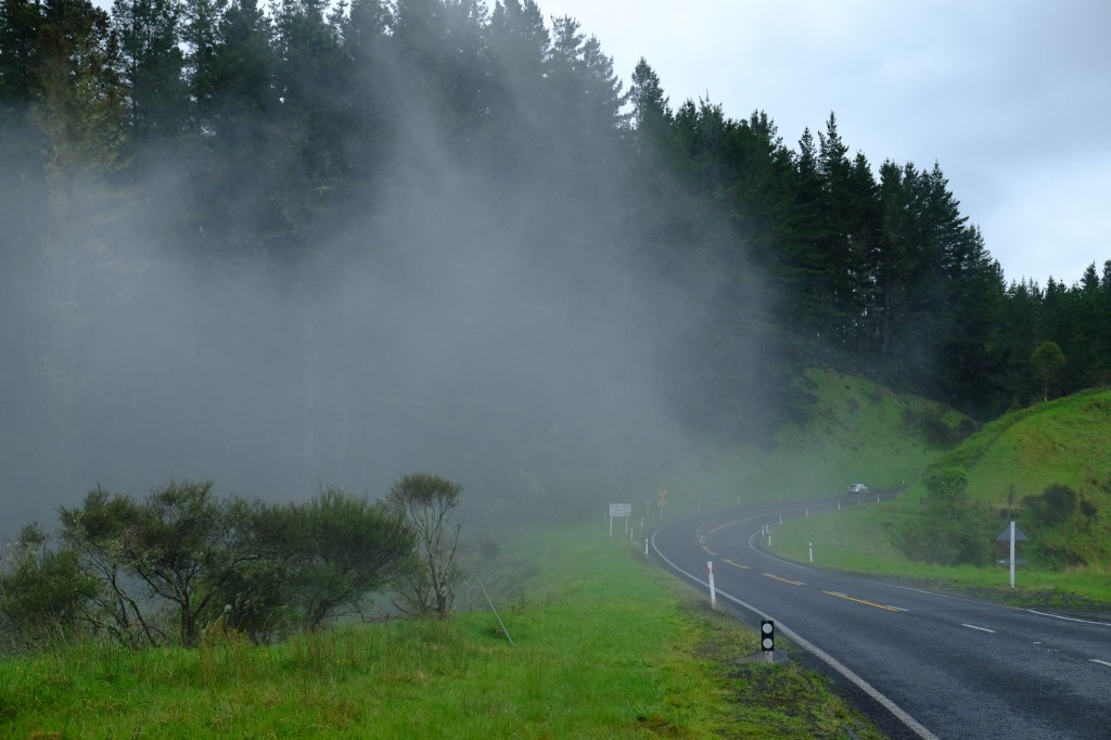 NZ: State Highway 4, Nebel 4