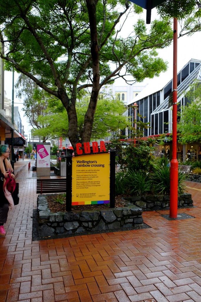 NZ: Wellington Cuba Street