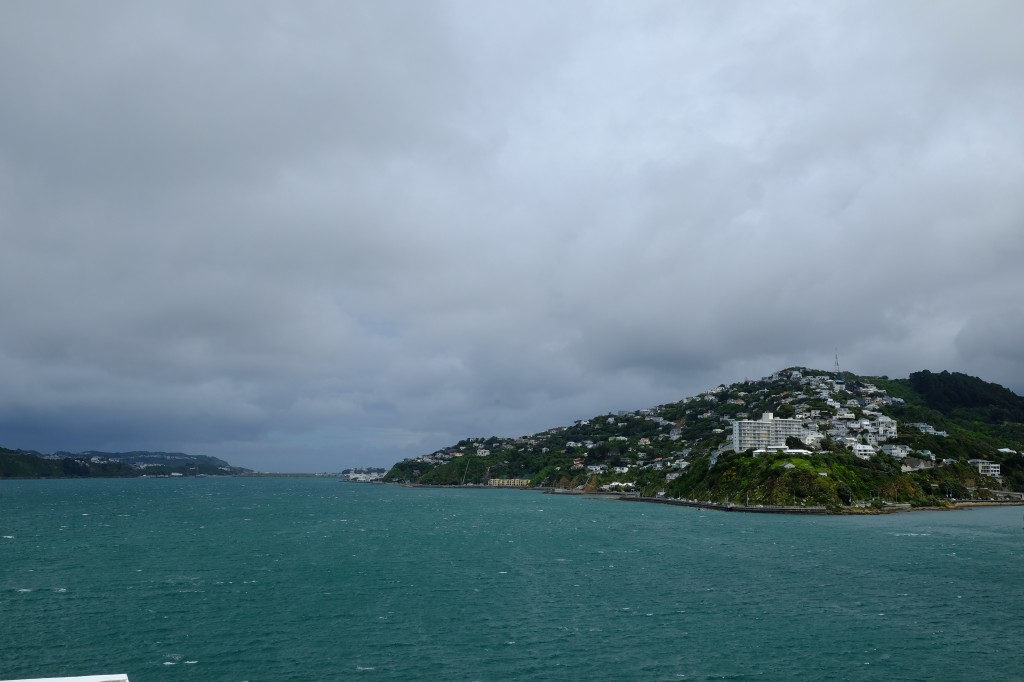 NZ: Evans Bay