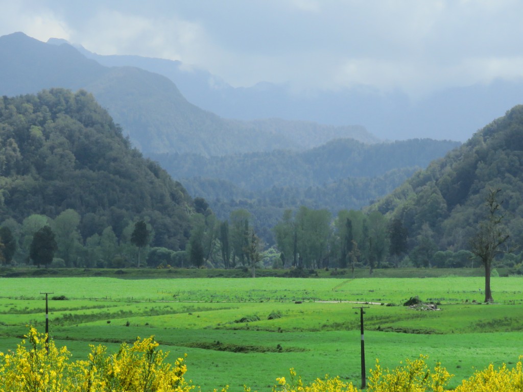 NZ: Auf dem Weg zur Westküste 3