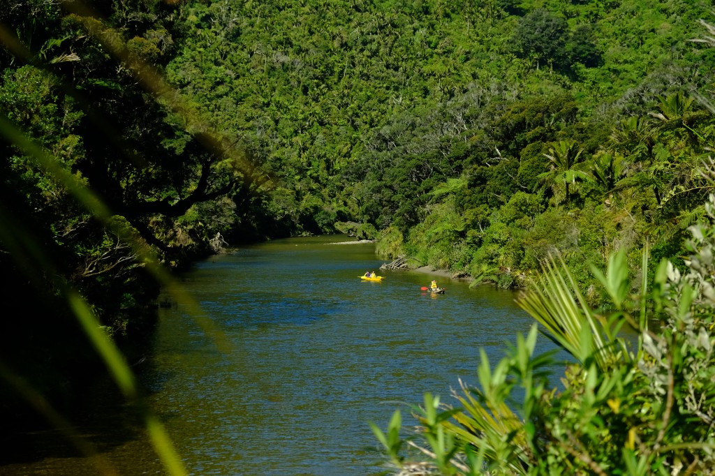 NZ: Pororari River Track - Paddler