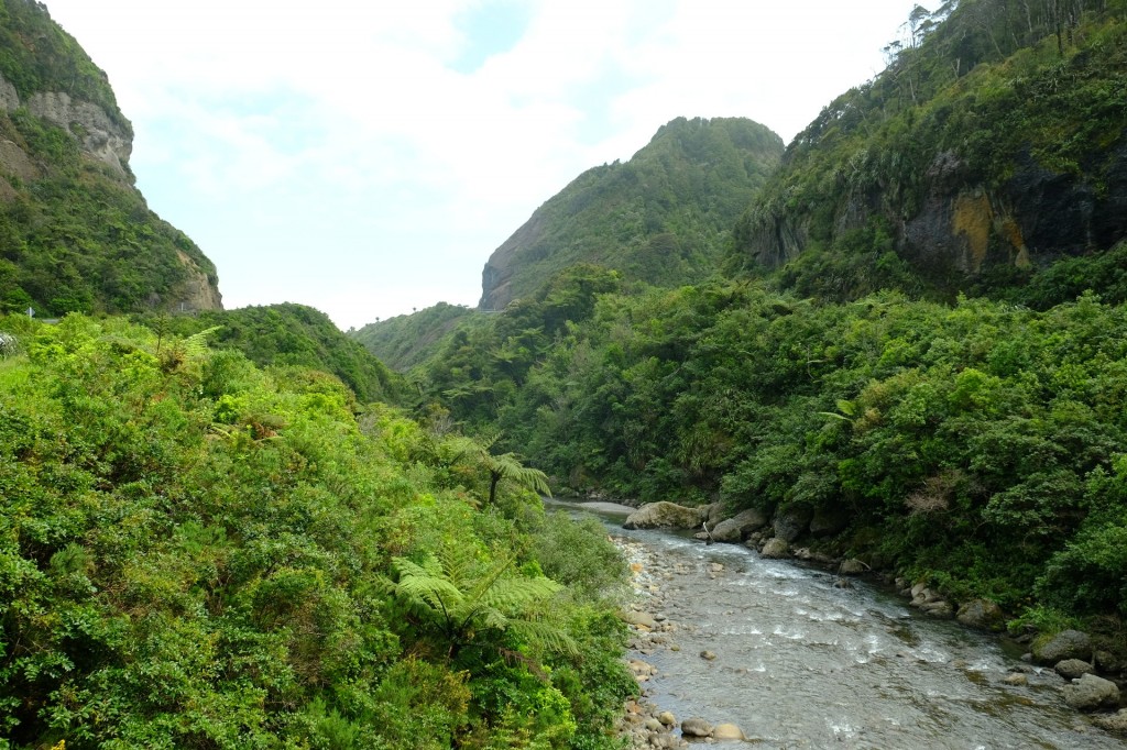 NZ: Ten Miles Creek