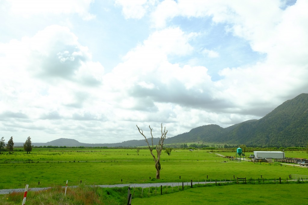 NZ: State Highway 73 (bei Hohonu) 2