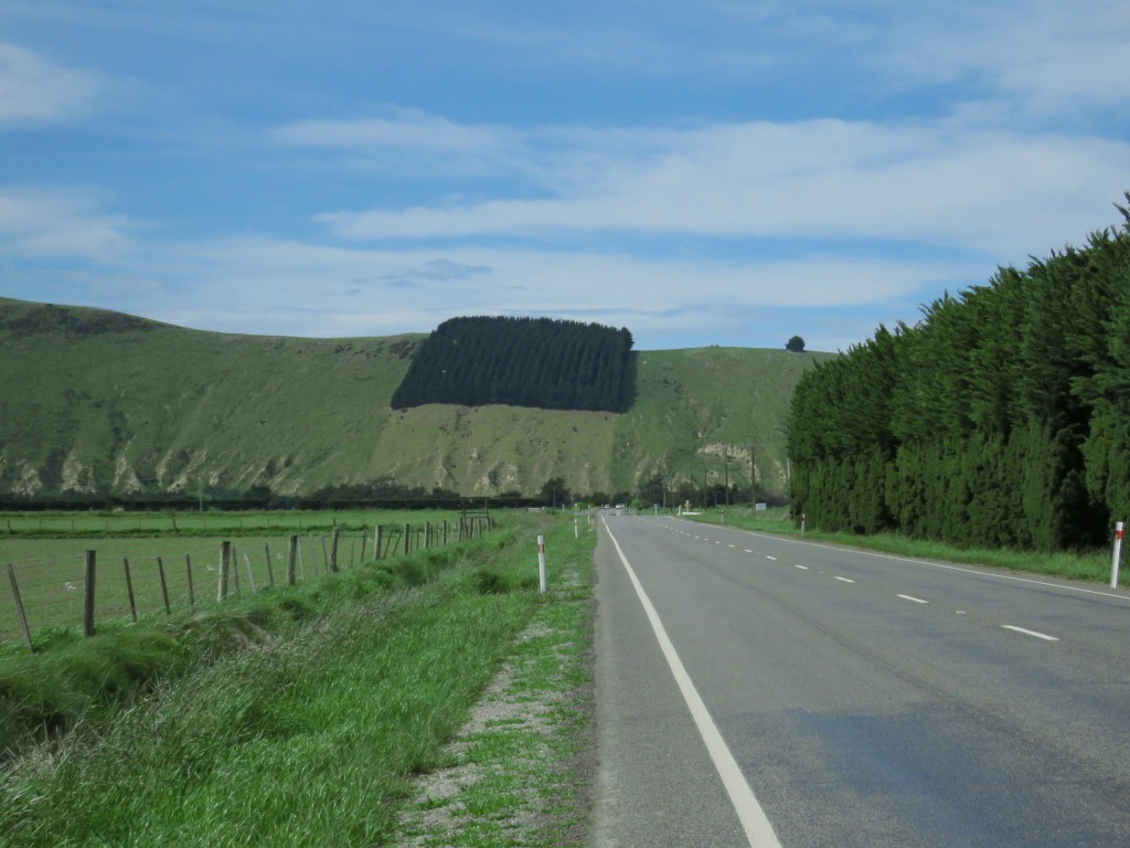 NZ: Weg nach Akaroa (Gebbies Valley)