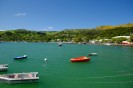 NZ: Akaroa 1