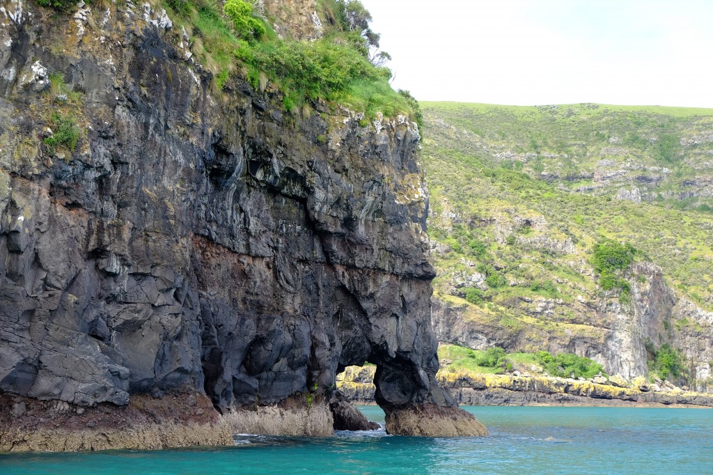 NZ: Akaroa Delfin Tour 4 - Elefantenstein