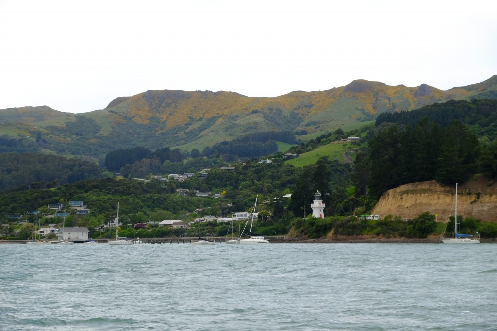 NZ: Akaroa Delfin Tour 10 - Akaroa Lighthouse