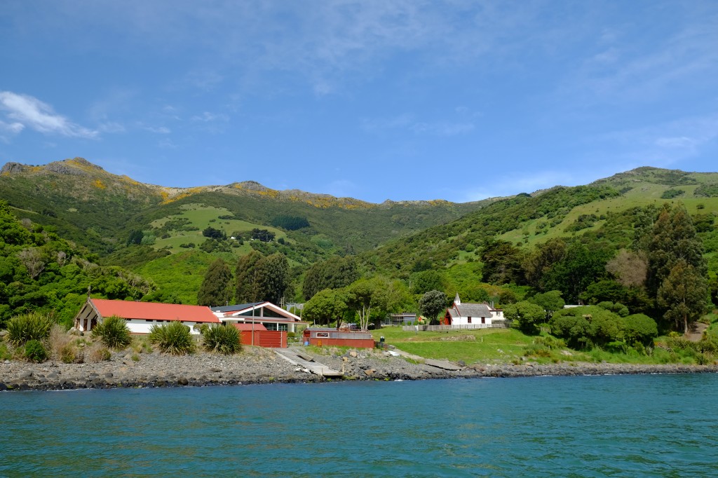 NZ: Akaroa Delfin Tour 11 - Ōnuku Marae