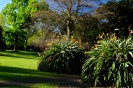 NZ: Auckland - Albertpark im Frühling 027