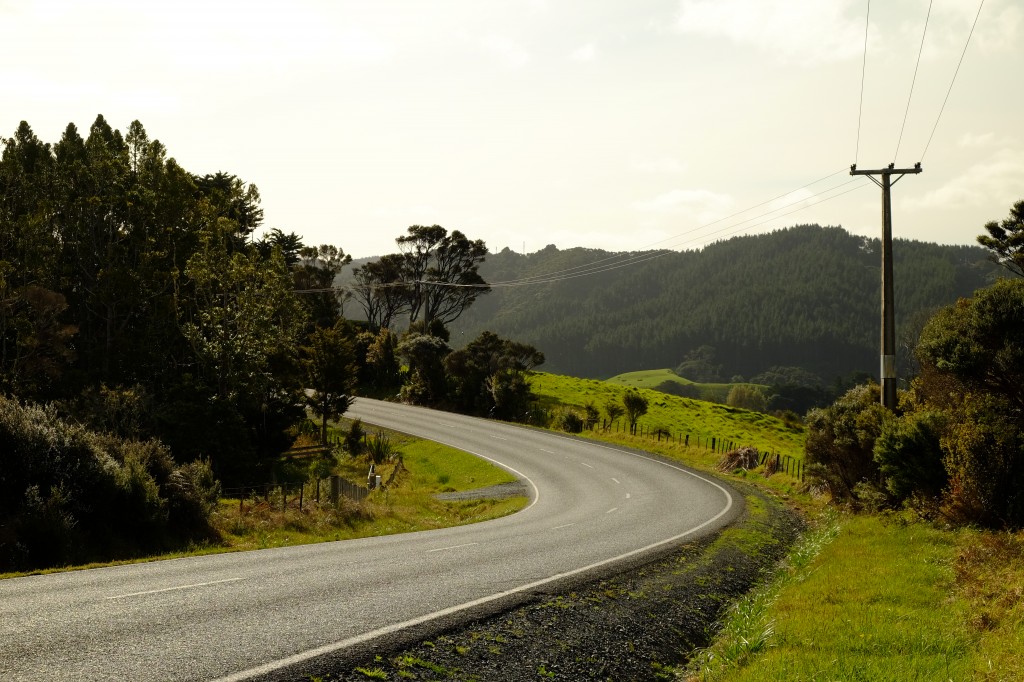 NZ: Auf dem Weg nach Whangarei