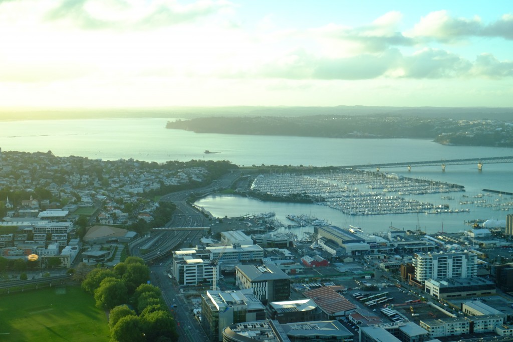 NZ: Auckland Tower 7