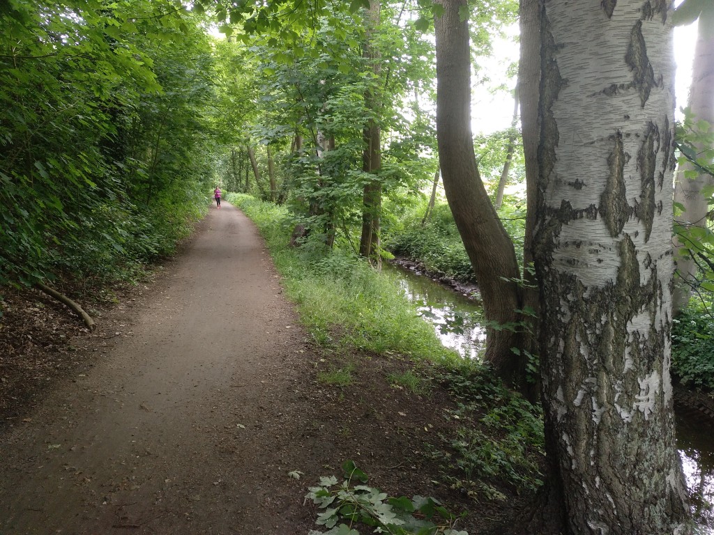 Radweg entlang Kollau