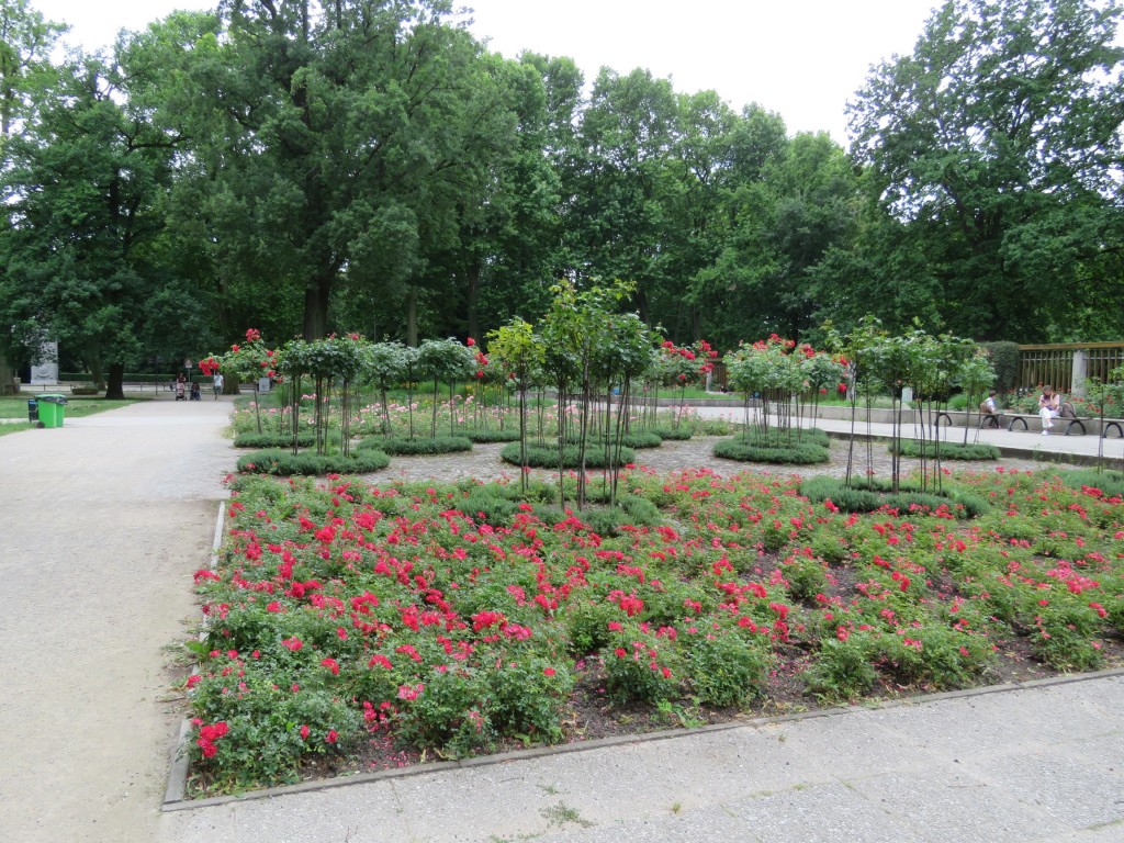 Treptower Park - Rosengarten