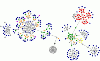 Visualisierung des HTML-Codes - Bild 1