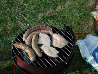 Grillen an der Elbe - Bild 1