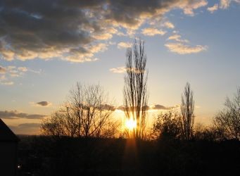 Sonnenuntergang in Pirna - Bild 1