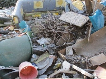 Baufeldfreimachung für die A100 - Bild 2